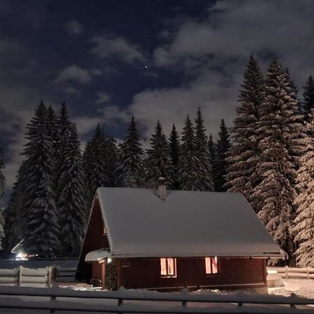 Cosy Chalet On Pokljuka - Brunarica Tinkara Згорнье-Горье Экстерьер фото