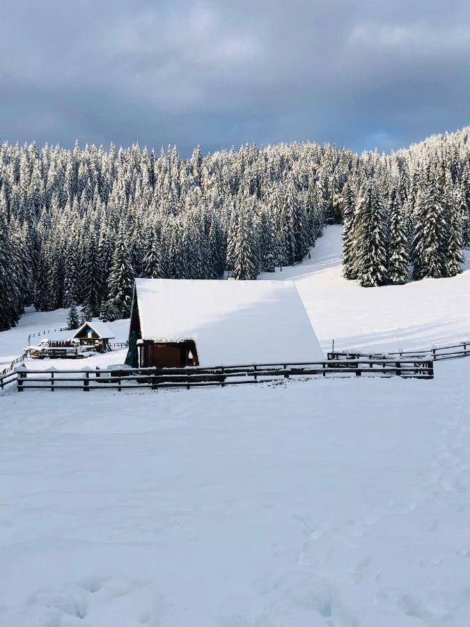 Cosy Chalet On Pokljuka - Brunarica Tinkara Згорнье-Горье Экстерьер фото