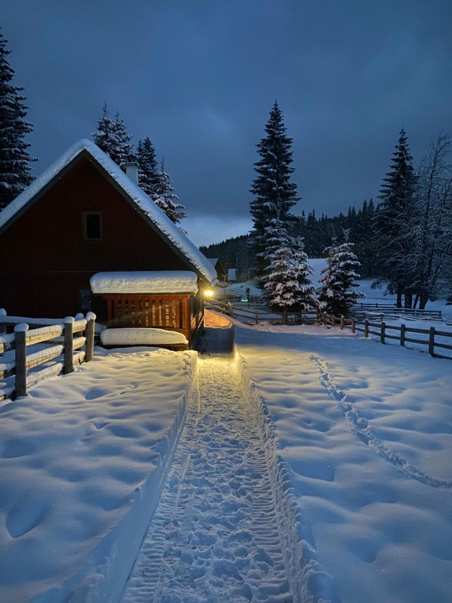Cosy Chalet On Pokljuka - Brunarica Tinkara Згорнье-Горье Экстерьер фото