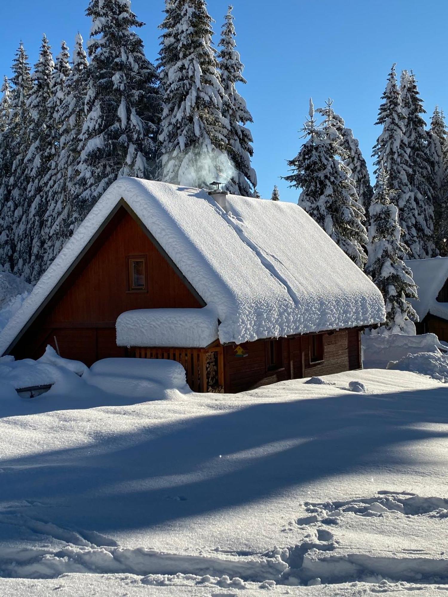 Cosy Chalet On Pokljuka - Brunarica Tinkara Згорнье-Горье Экстерьер фото