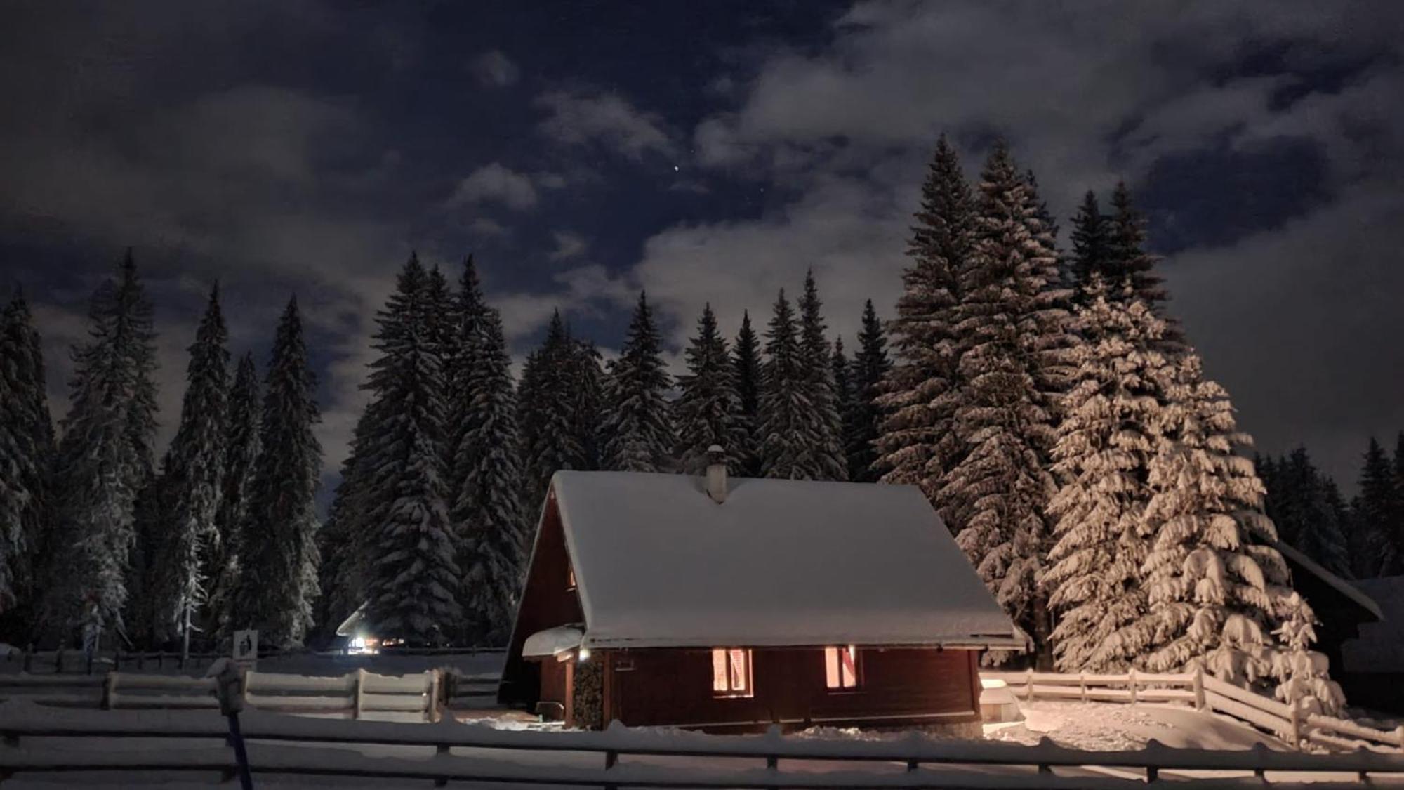 Cosy Chalet On Pokljuka - Brunarica Tinkara Згорнье-Горье Экстерьер фото