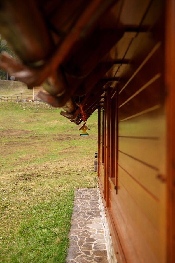 Cosy Chalet On Pokljuka - Brunarica Tinkara Згорнье-Горье Экстерьер фото